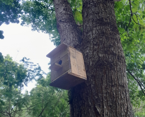 Integrasi Avifauna 3