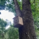 Integrasi Avifauna 3